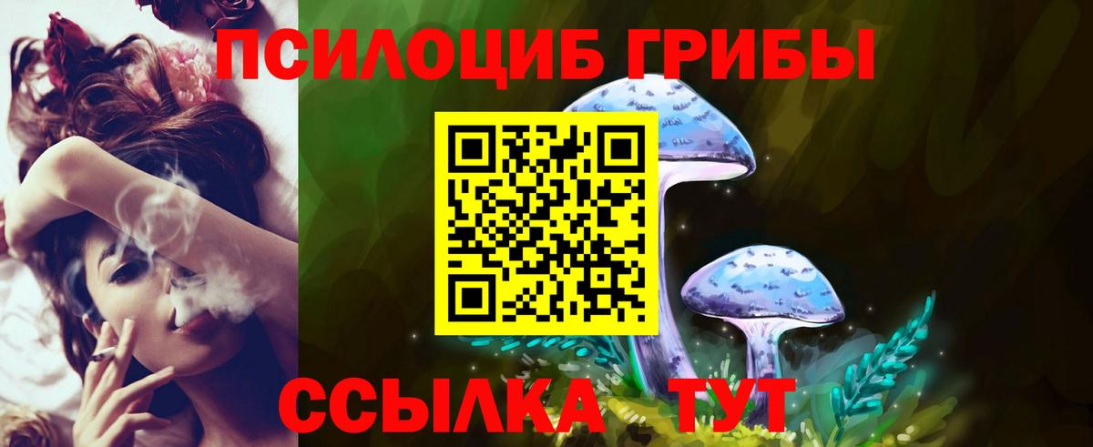 Галлюциногенные грибы Psilocybine cubensis  Вход с VPN  Псилоцибиновые грибы MAGIC MUSHROOMS  Можайск 